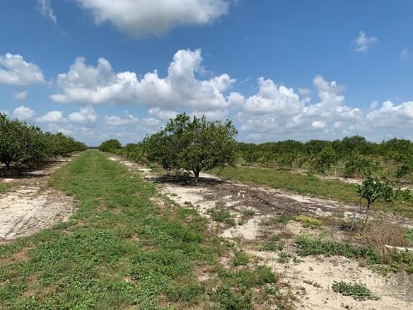 Murphy Road, Bartow, FL 33830